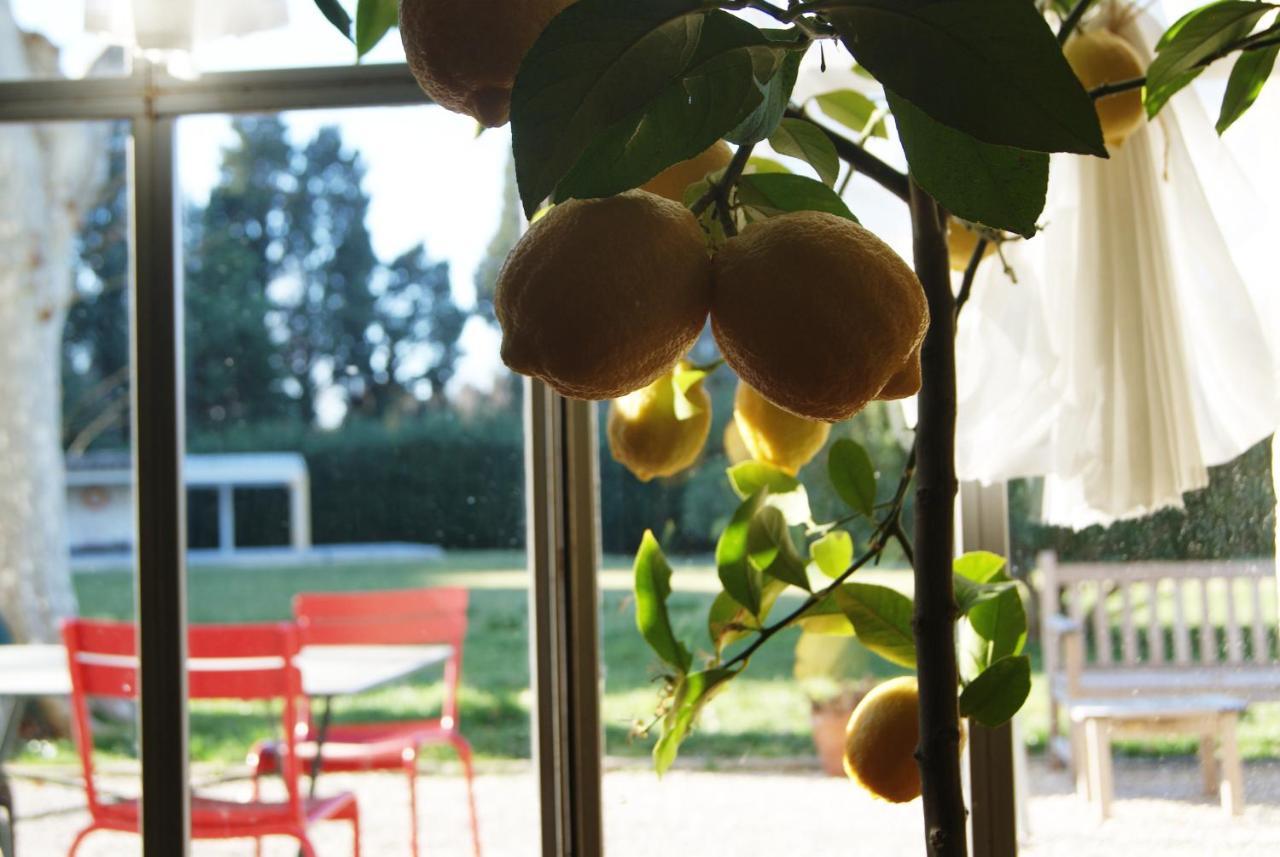 亞維農La Ferme De Gigognan住宿加早餐旅馆 外观 照片